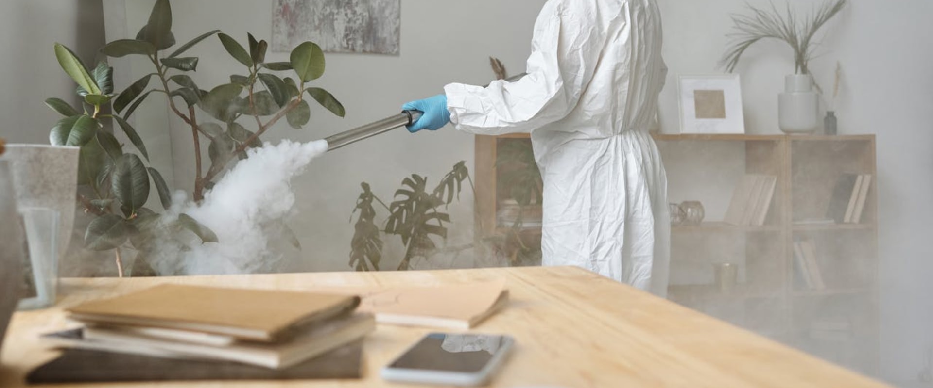 The Benefits Of Hiring A Professional Exterminator That Utilizes Organic Pest Control Products In Las Vegas, NV